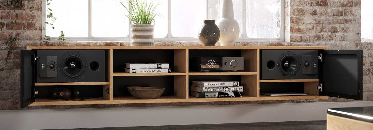 Lyngdorf CS-1 In-Cabinet Speaker