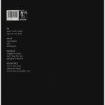 The Chemical Brothers - Dig Your Own Hole 2xLP - Image 2