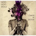 Goo Goo Dolls - Chaos In Bloom LP