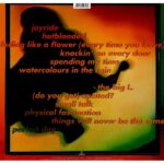 Roxette - Joyride (30th Anniversary Edition) LP - Image 2