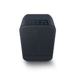 Bluesound Pulse Flex 2i Wireless Speaker