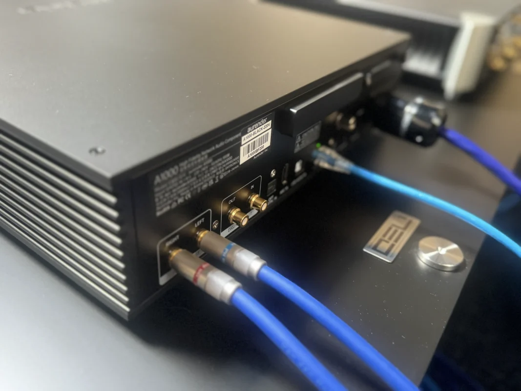 Aurender A1000 rear panel showing analogue outputs, digital connections, Ethernet and USB ports