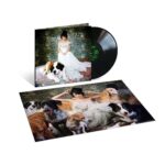 Norah Jones – The Fall LP - Image 2
